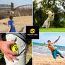 Gravity Disc™ - 6 Pack